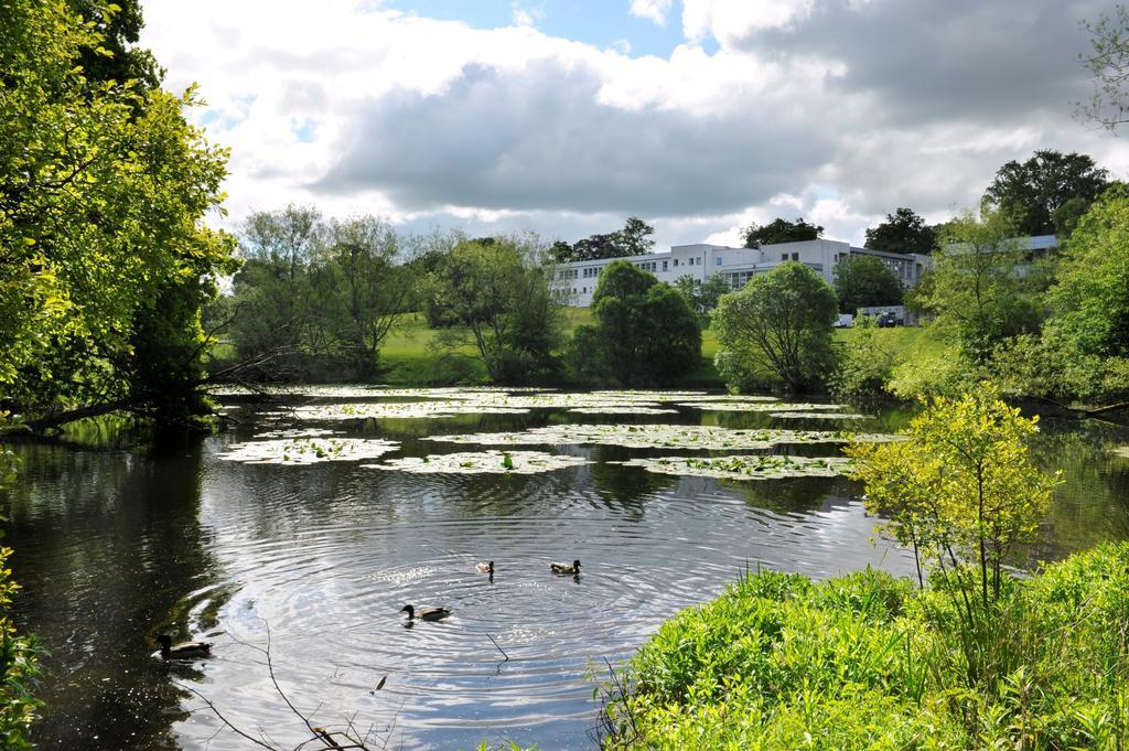 Willow Court Stirling Zewnętrze zdjęcie
